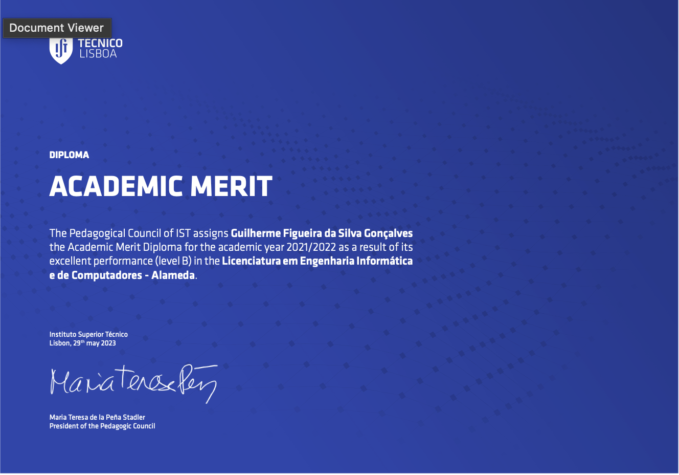Academic Merit Award